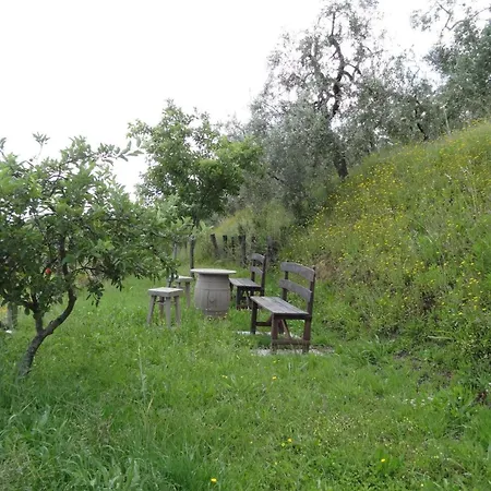 Dom wakacyjny Cerbaiola, Lamporecchio