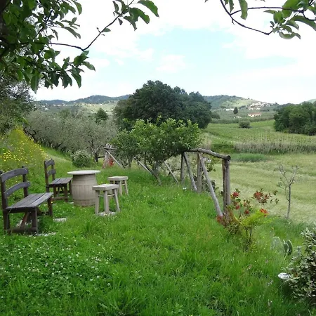 Cerbaiola, Lamporecchio